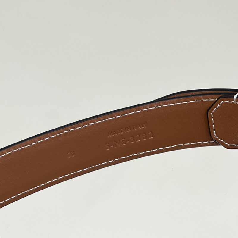 Celine Triomphe Mini Waist sac — réplique – Image 9