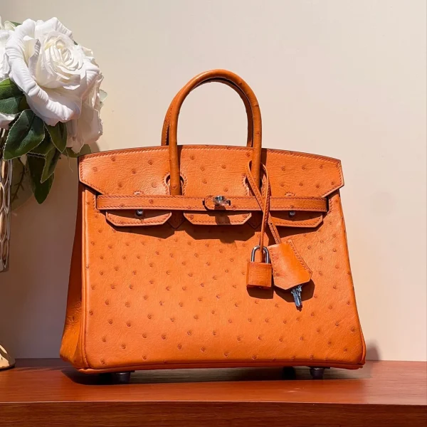 Sac HN 25 en FIRE coloris orange effet autruche cuir avec finitions argentées — réplique